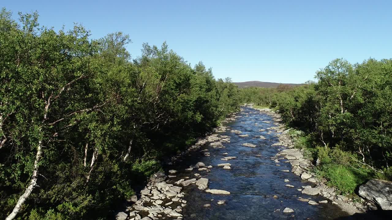 vuelo a través de un corredor fluvial en las montañas de verano
