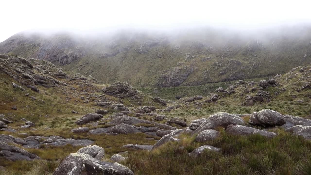 Udsigt til bjergrig klippeformation i et højtliggende område af Itatiaia nationalpark indhyllet i tåge. Rio de Janeiro, Brasilien.