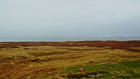 Pan-De-Paisaje-Típico-Islandés-En-La-Costa.