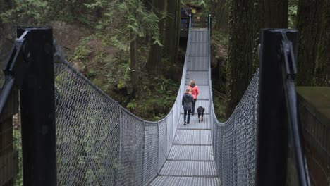 friends walk dog across suspension bridge