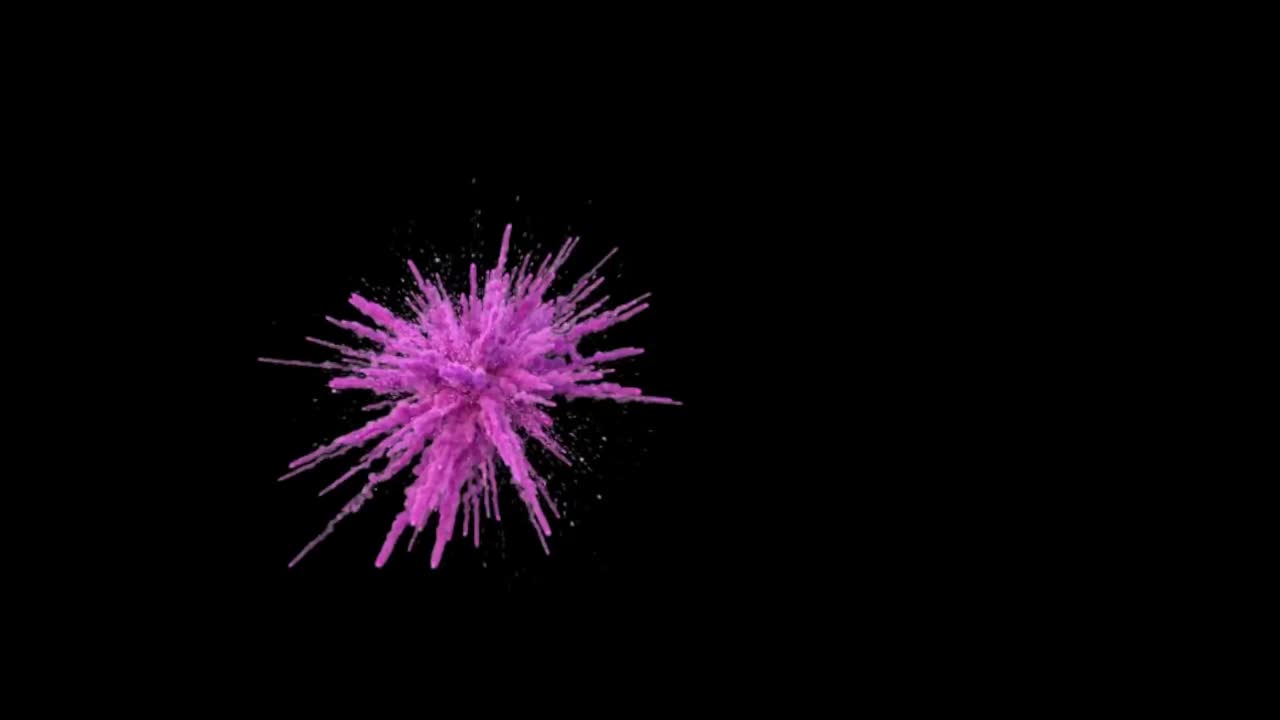 검은색 배경에 퍼지는 분홍색과 보라색의 클로즈업 뷰