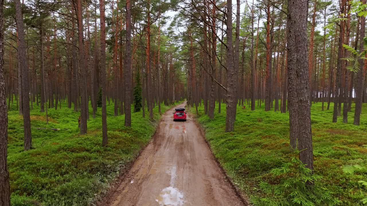 Tracking drone of red car on muddy forest trail, wet pine woodland Latvia