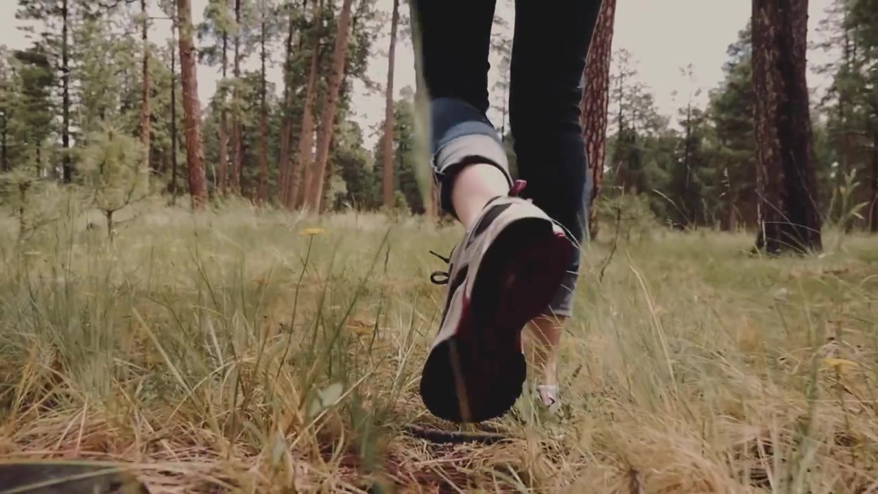 Low Angle View of Person Walking Through a Grassy Forest