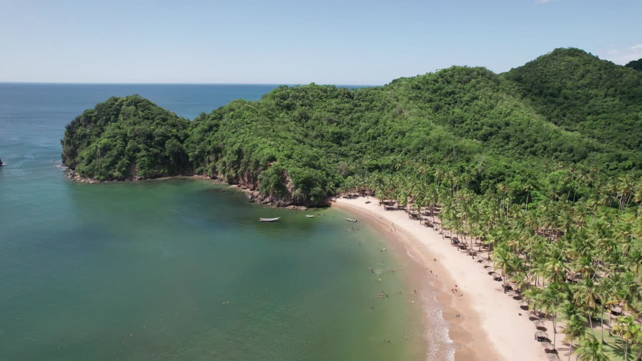 Drone shot of the beautiful Pui Pui beach on the Paria Peninsula, Sucre State, Venezuela. The pristine coastline features lush palm trees, white sand, and a tranquil turquoise sea,