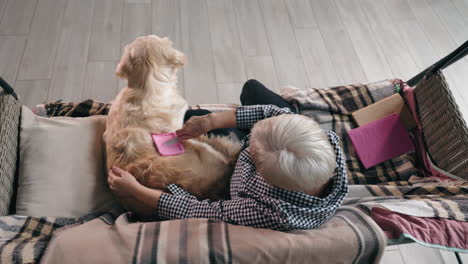 woman grooming her golden retriever at home