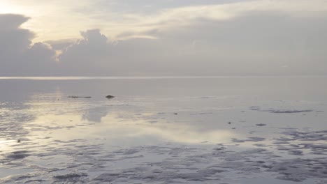 low-tide-flats-by-ocean-shore-during-morning-with-birds-flying-in-background