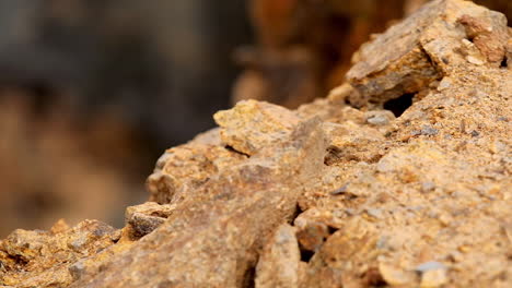 natural minerals. close view on colorful rocks. shiny stones background. stone ore. close-up.