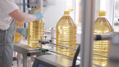 aceite de girasol en la botella que se mueve en la línea de producción. línea de embotellado de aceite de girassol en botellas. planta de producción de aceite vegetal. alta tecnología. fondo industrial