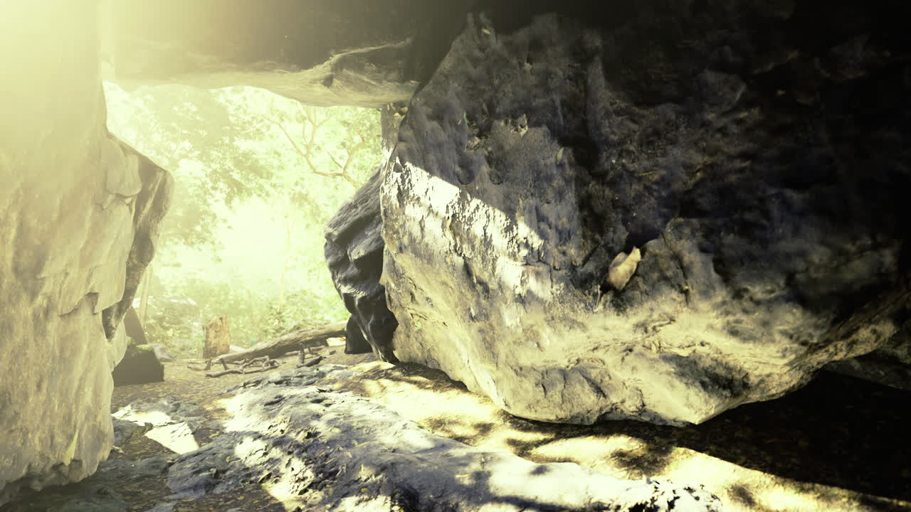 Cave interior with sunlight filtering through trees in a serene setting