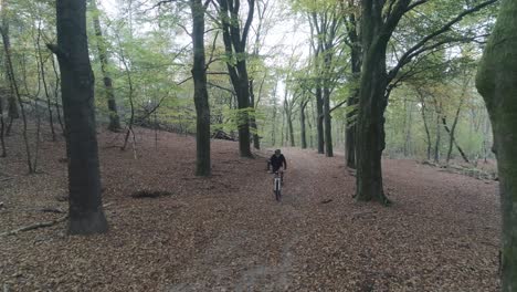 Ciclista-De-Montaña-Cabalgando-Por-Un-Bosque