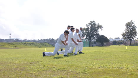 team of multiracial male cricket players practicing cricket on pitch, copy space