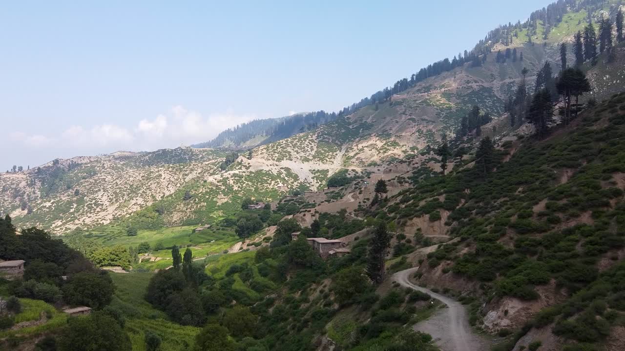 navegando por el mercado