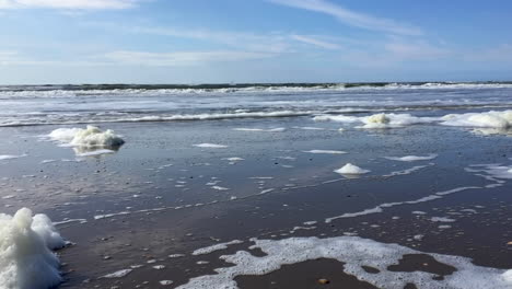 wads of dirty foam are blown across the beach in the tidal zone