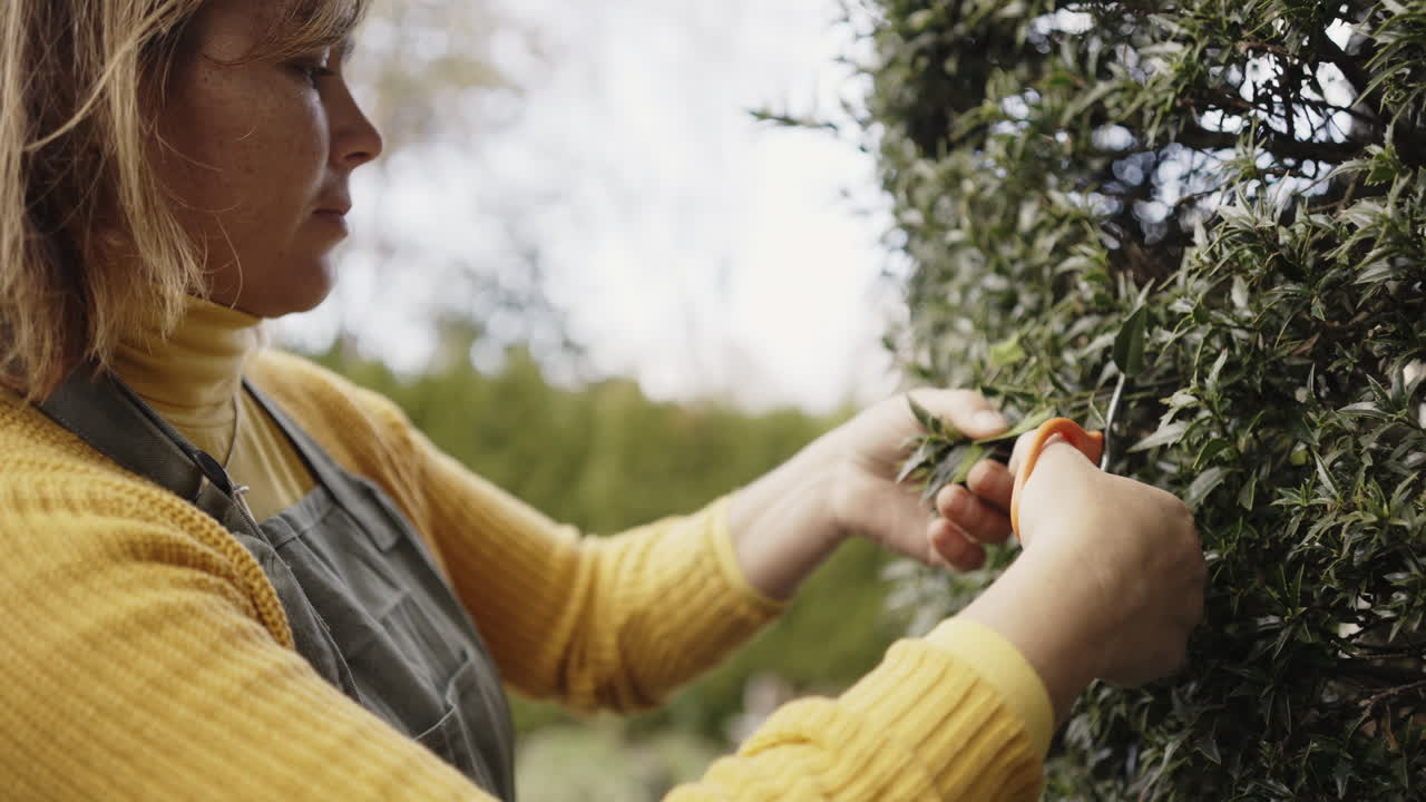 Woman Pruning a Hedge