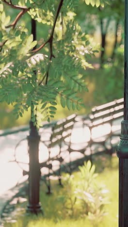 a sunny view of a park with a bench and a lamppost