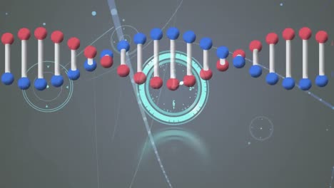 Animation-of-clock,-dna-strand-and-network-of-connections