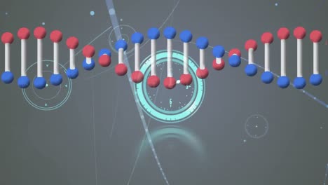 클럭, dna 스트랜드 및 연결 네트워크의 애니메이션