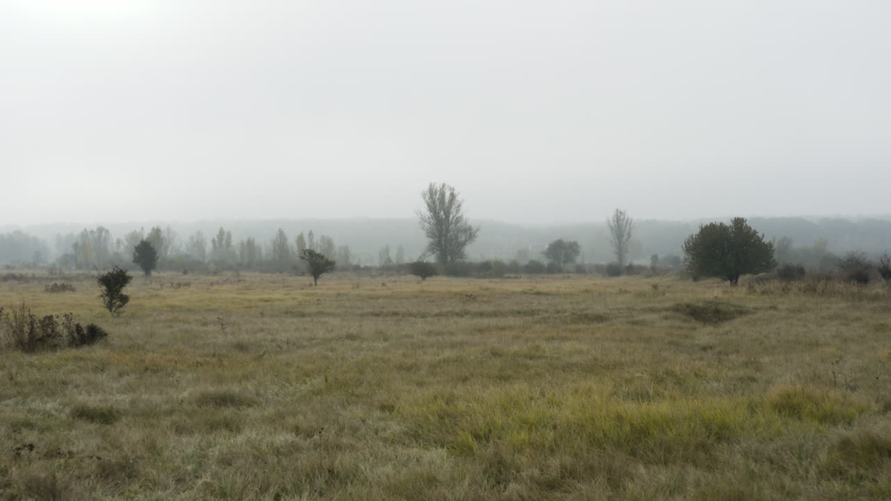 가을에 안개가 가득한 시골의 잔디 습지와 숲, 체키아