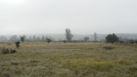 grassy moorland and woodland in an autumn foggy countryside,czechia