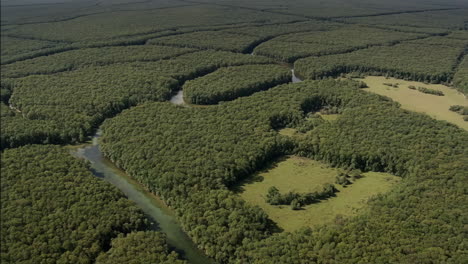 vista aérea de un río sinuoso a través de un denso bosque