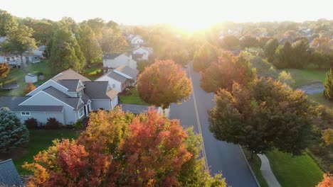 descending aerial dolly shot of drone above colorful autumn trees and leaves, cars driving on street in neighborhood residential development