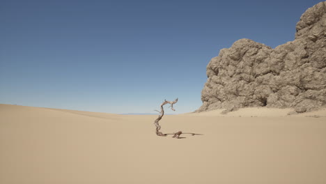 a lone tree stands in a vast desert landscape