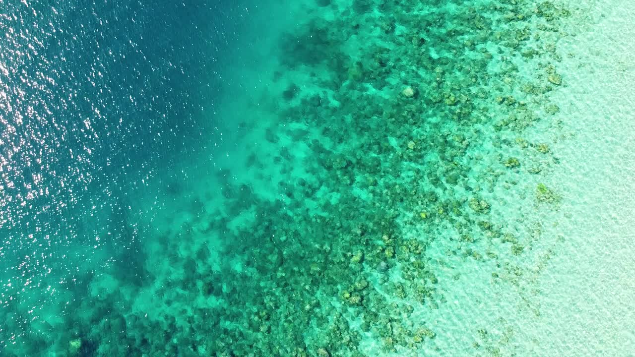 동남아시아 의 티모르 에스테 의 산호 삼각주 에 있는 산호초 와 깊은 파란 물 을 가진 반 ⁇ 이는 투명 한 바다 의 공중 전망