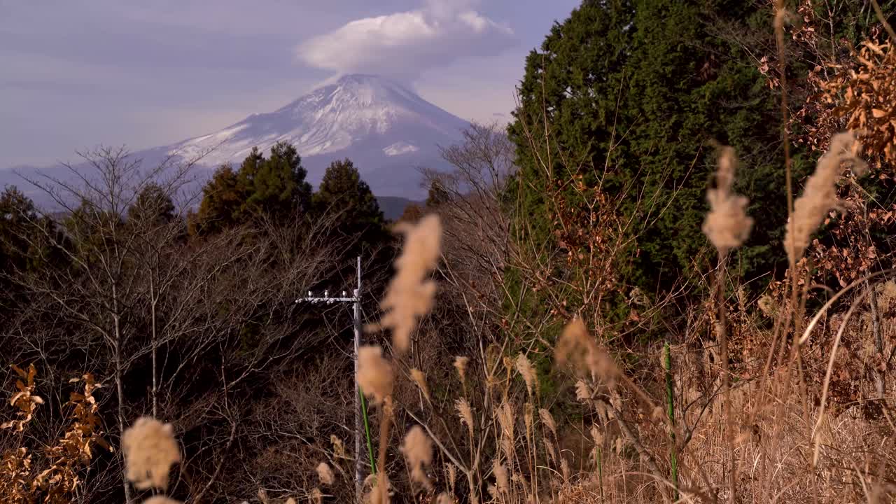 hermoso paisaje típico del monte fuji en la naturaleza con hierba de invierno en primer plano