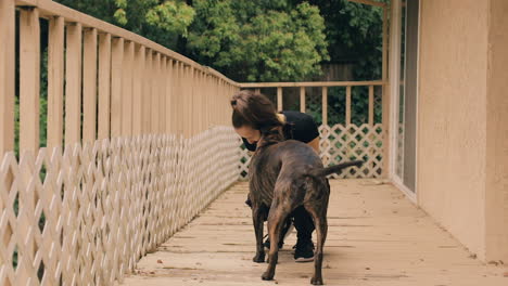 caucasian girl motions to dog