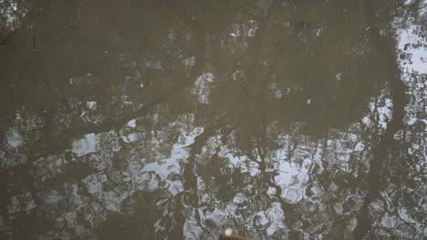 agua de un río con el reflejo del cielo y el agua ondeando