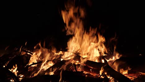 close up shot of bone fire at night