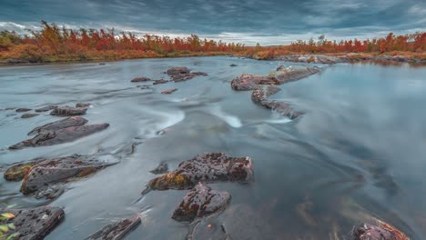 a shallow river with forest-covered banks flows through finning tundra