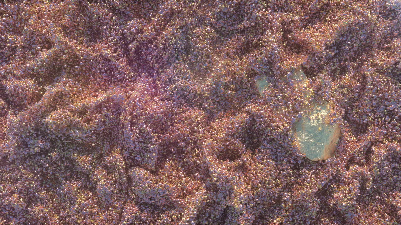 Dynamic Abstract Organic Texture with Shimmering Particles and Gold Element