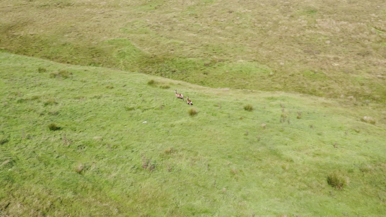 스코틀랜드 외부 헤브리드 제도 의 일부 인 루이스 섬 의 습지 와 토프 지대 에 있는  ⁇ 은 사 ⁇  의 무인 항공기 로 찍은 사진