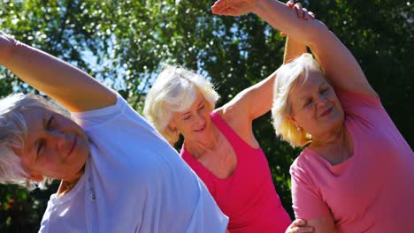 Front-view-of-active-mixed-race-senior-people-exercising-in-the-garden-of-nursing-home-4k