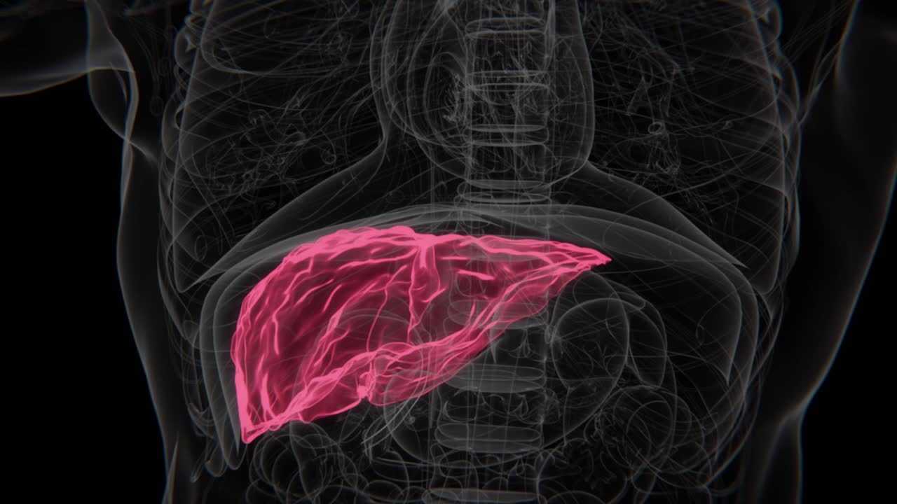 Normal Liver to Hepatitis C HD X-Ray Video | Hepatitis C Indication in HD Video