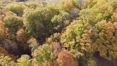 Video-Aéreo-Fpv-4k-En-Otoño