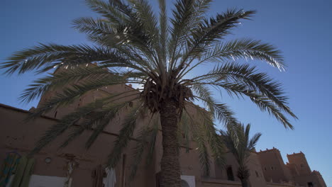 shot of the kasbbah of ouarzazate on a sunny day