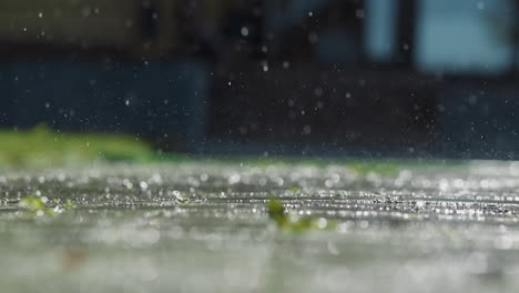 warm rain water drops fall down onto asphalt road in summer