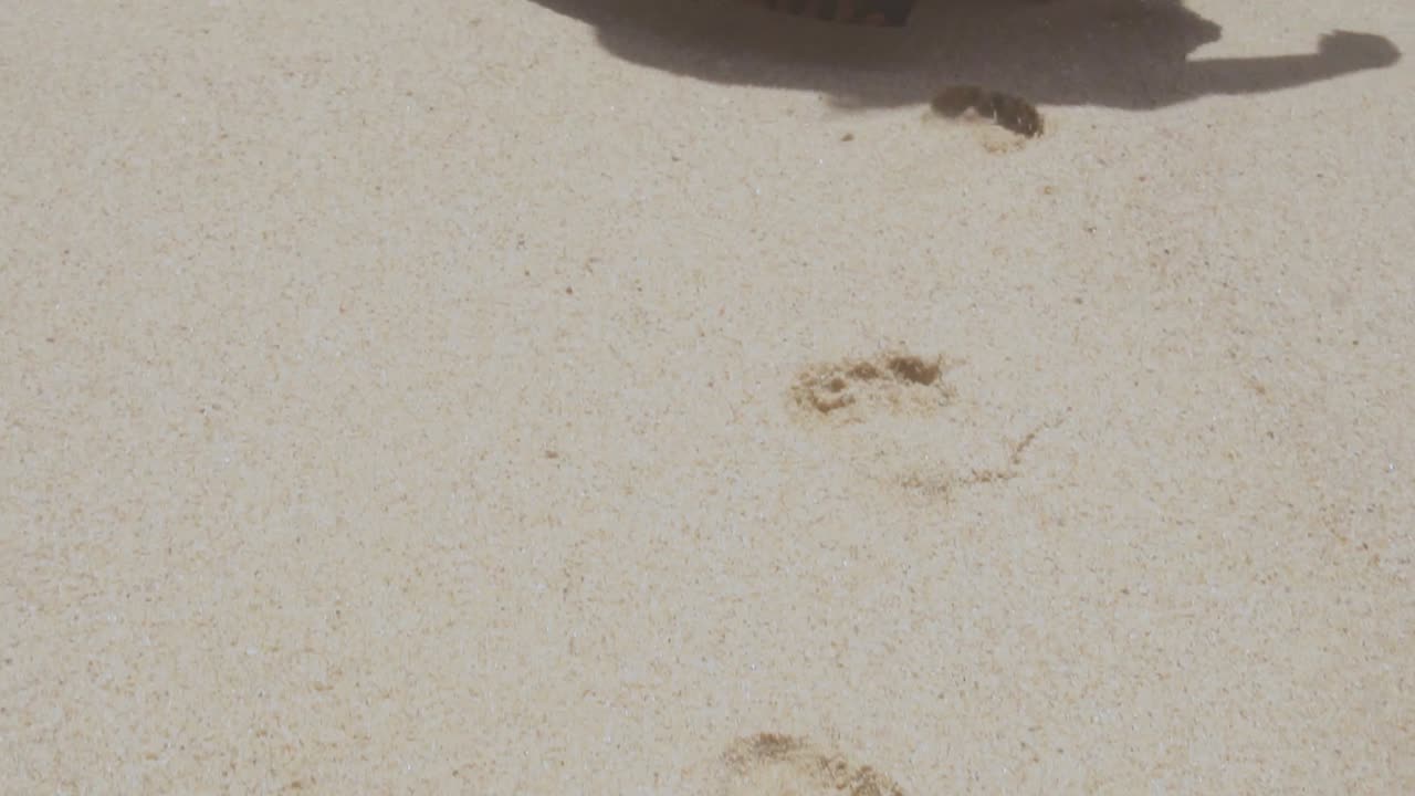 모래에 모델 발가락