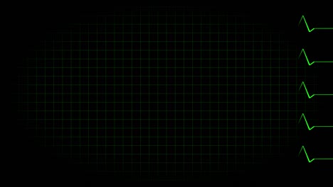 electrocardiograma osciloscopio forma de onda animación gráficos de movimiento