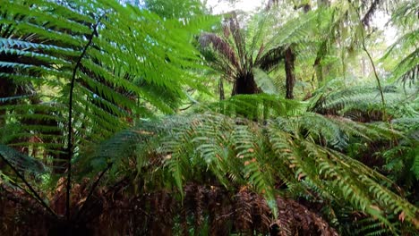 helados verdes exuberantes en un denso bosque tropical