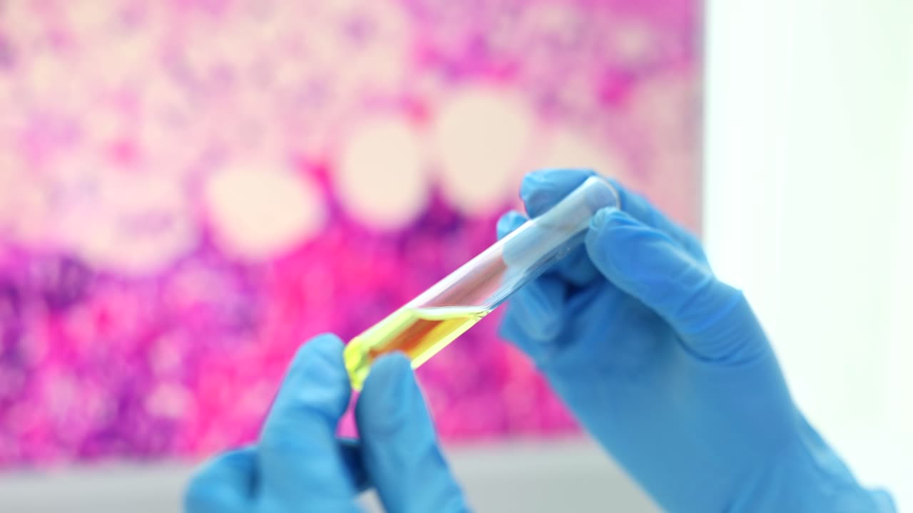 Gloved Hands Holding a Test Tube with Liquid in a Laboratory Setting