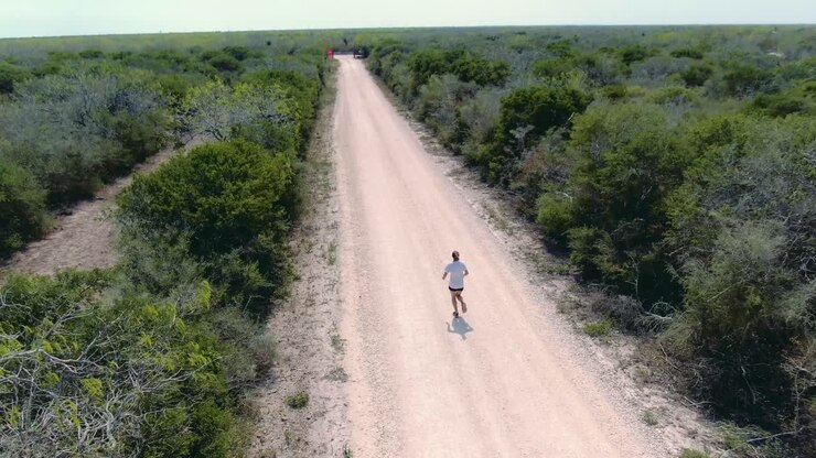 female person running, topview drone, runner in rural green prairie overview, aerial view, woman training for competition on a sunny deserted road between green bushes