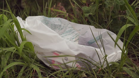 litter left outside. plastic bag spoiling nature