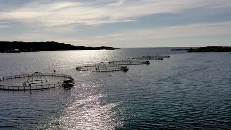 aerial footage farm salmon fishing in norway