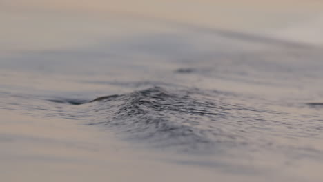 olas del mar corriendo en la playa durante la puesta de sol