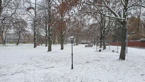 Schwenk-Nach-Rechts-Berlin-Im-Winter-Im-Park-TempelhöferfeldBäume-Mit-Schnee-Bedeckt-HD-30-Fps-8-Sek