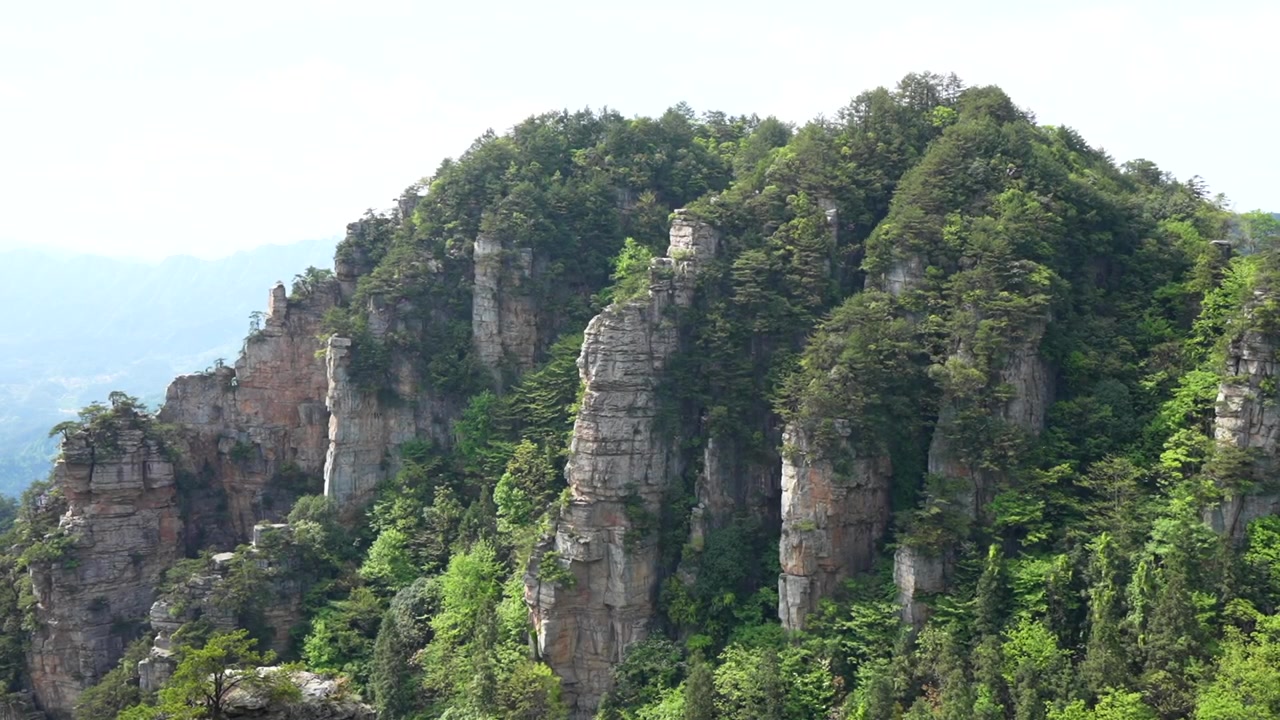 Vista degli spettacolari pilastri di arenaria quarzifera di Yangjiajie nel Parco Forestale Nazionale di Zhangjiajie