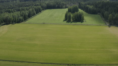 Grüne-Wiesen-Und-Felder-Umgeben-Von-Wald